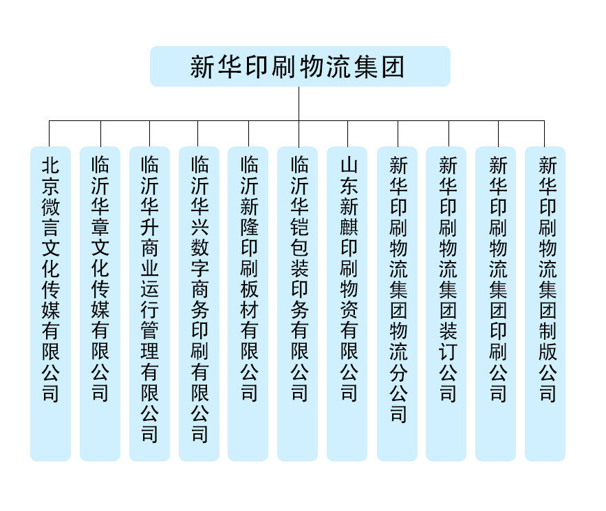 组织结构 组织结构