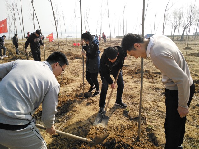 临沂新华参加义务植树活动 第 3 张